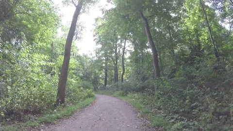 Nordic walking in the forest Stock Footage 83620903