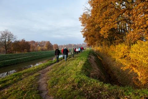 Nordic walking Stock Photos