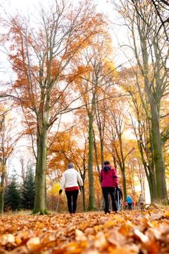 Nordic walking Stock Photos