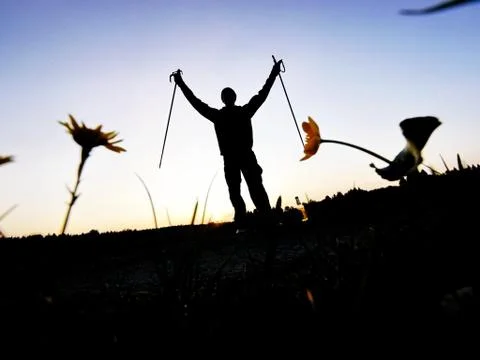 Nordic walking Stock Photos