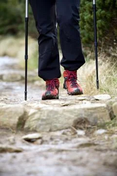 Nordic Walking Stock Photos