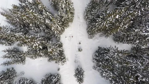 Nordic walking with poles in swiss winter scenery, aerial shot. Stock Footage 132855341