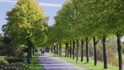 In the Nordsternpark Stock Footage 226249986