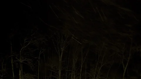 Nor'easter Blizzard Dusk-Dawn Time Lapse Stock Footage 89811621