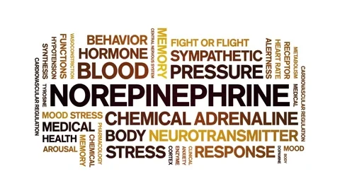 Norepinephrine animated word cloud,animation kinetic typography seamless loop. Stock Footage 324588327
