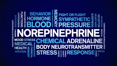 Norepinephrine animated word cloud,animation kinetic typography seamless loop. Stock Footage 324588582