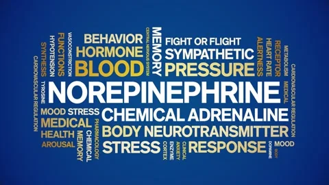 Norepinephrine animated word cloud,animation kinetic typography seamless loop. Stock Footage 324589397