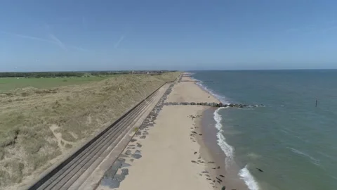 Norfolk Coast Seals 4k Stock Footage 144882944