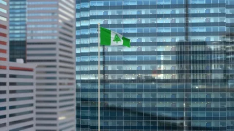 Norfolk Island Flag 3D Render Animation Waving Against Glass Office Building Stock Footage 333079474