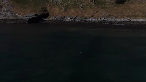 Norge spring Video stock 131659653