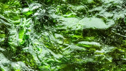 Nori leaf, dried algae, of surface, green background, moving sideways, clos.. 스톡 동영상 256330273