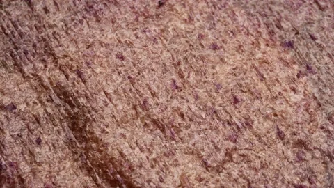 Nori sheet, rotation in circle. Stock Footage 236425335