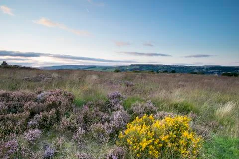 Norland sunset Stock Photos