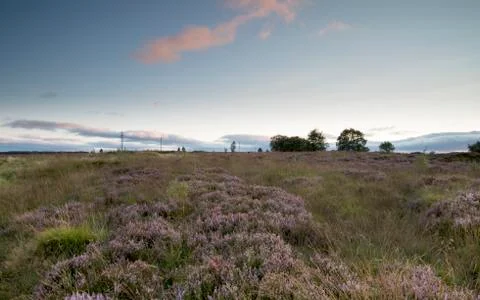 Norland sunset Stock Photos