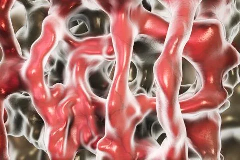 Normal bone illustration Illustrazione stock