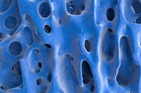 Normal bone structure (healthy bone cortex) Illustrazione stock