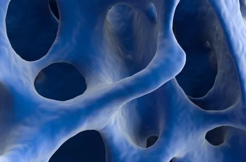 Normal bone structure (healthy bone cortex) Ilustração Stock