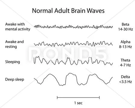 Normal brain waves eeg Stock Illustration