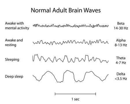 Normal brain waves eeg Stock Illustration