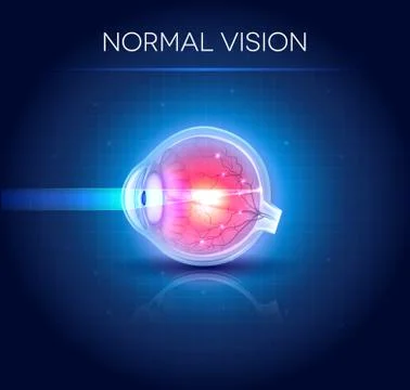 Normal eye vision Stock Illustration