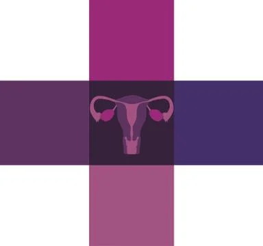 Normal female uterus in the cross shape blocks Stock Illustration