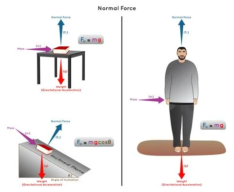 Normal Force Infographic Diagram for physics science education vector Stock Illustration