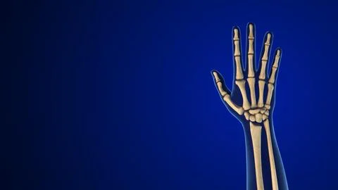 Normal Hand Arthritis with Copy Space イラスト素材
