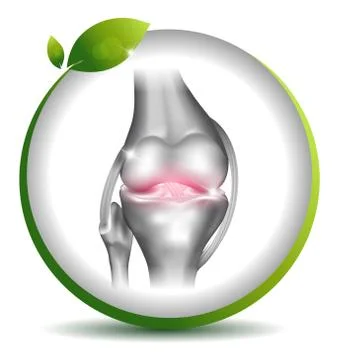 Normal joint symbol in the leaf circle Stock Illustration