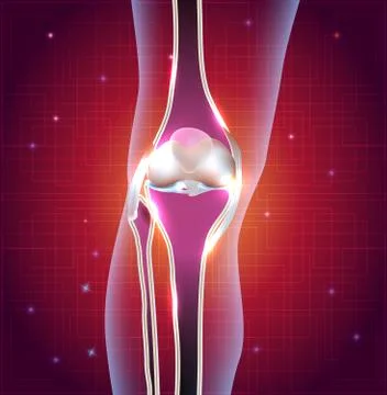 Normal knee joint abstract bright design Stock Illustration