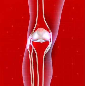 Normal knee joint abstract red background Stock Illustration