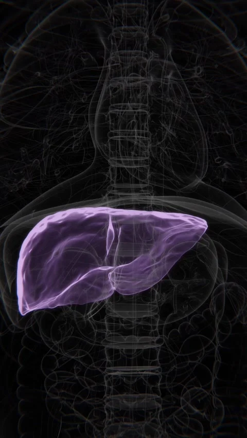 Normal Liver to Hepatitis C Vertical HQ X-Ray Video | Hepatitis C Indication in Stock Footage 301384007