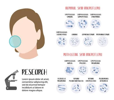 Normal, pathogenic skin microflora. Bacteria. Microbiome. Staphylococcus, Str Stock Illustration
