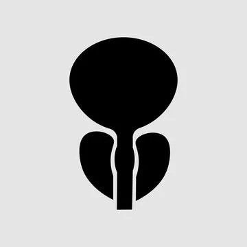 Normal prostate and acute prostatitis. Medical illustration icon Stock-Illustration