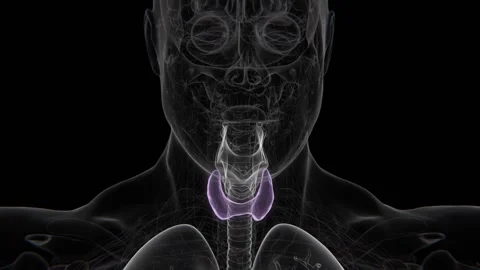 Normal Thyroid to Hyperthyroidism in HD Video | Normal to Thyroid Disorders HD Stock Footage 330918573