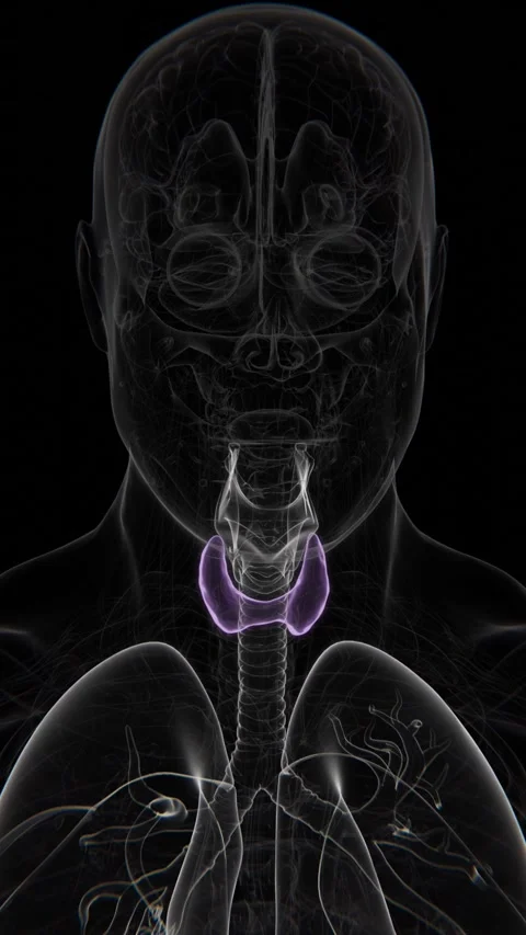 Normal Thyroid to Hyperthyroidism in Vertical HQ Video | Normal to Thyroid Stock Footage 301878349