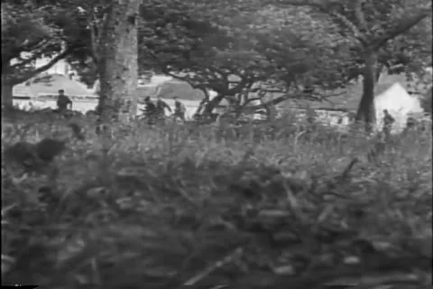 Normandy D-DAY 1944 - British Commandos Advance in France Stock Footage 255965142