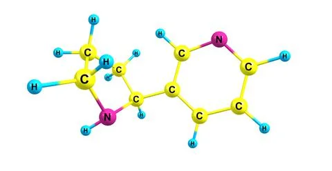 Nornicotine molecular structure isolated on white Stock Illustration