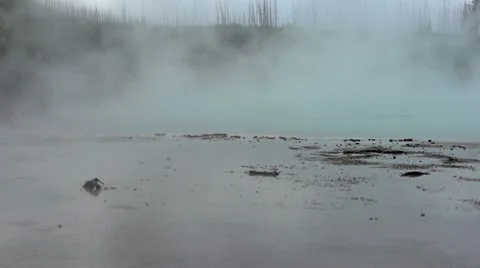 Norris Geyser Basin Stock-Footage 8992207