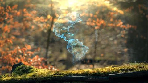 North America Earth Plexus Sphere Concept On Moss In Real Forrest Stock Illustration
