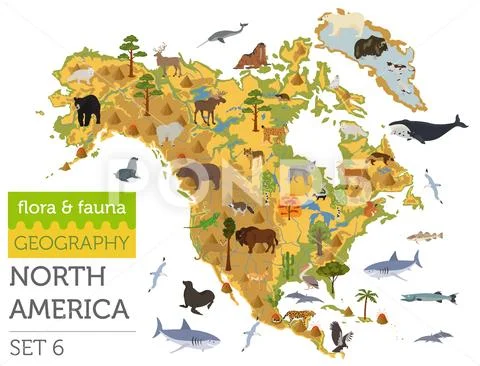 North America flora and fauna map, flat elements. Animals, birds and sea life Stock Illustration