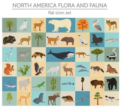 North America flora and fauna flat elements. Animals, birds and sea life big  Stock Illustration
