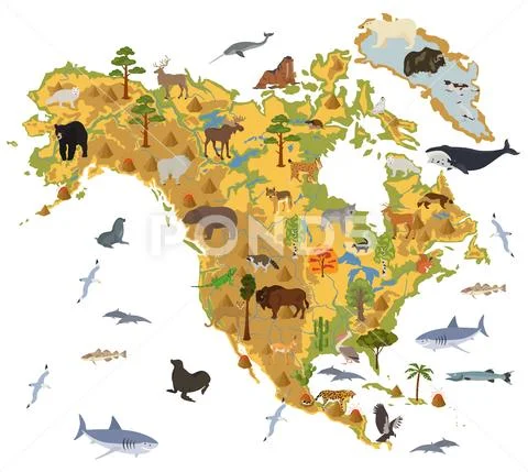 North America flora and fauna map, flat elements. Animals, birds and sea life Stock Illustration