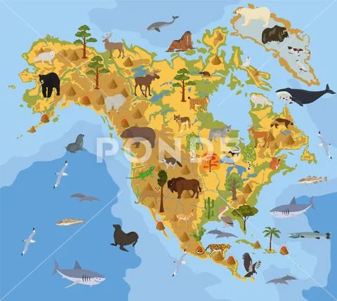 North America flora and fauna map, flat elements. Animals, birds and sea life Stock Illustration