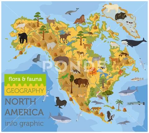 North America flora and fauna map, flat elements. Animals, birds and sea life Stock Illustration