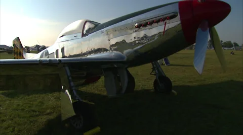 North American P-51 Mustang Graphic Page Stock Footage 39831714