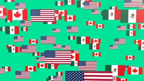 North American Region Flags, Dynamic Forward Flying Movement, Continental T.. Stock Footage 319329702