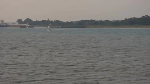 North bank of the River Amazon Stock Footage 310520977