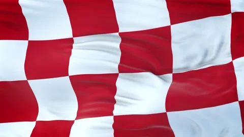 North Brabant flag waving in the wind 動画素材 139380213