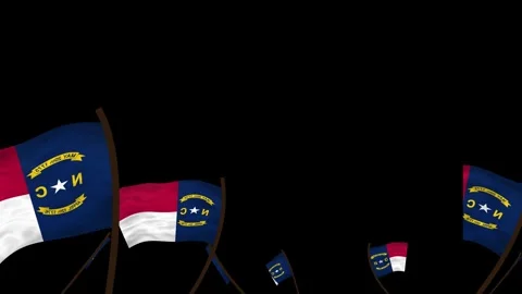 North Carolina State Flags Waving Crowd. Realistic 4K 60fps Stock Footage 338406058