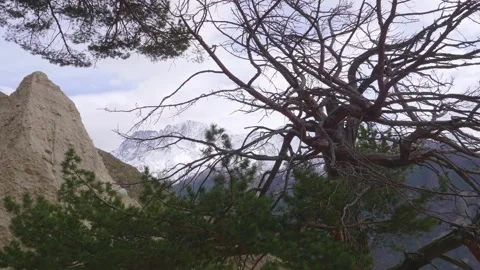 North Caucasus Landscape with Ancient Tree and Rocky Peaks Stock Footage 320857025